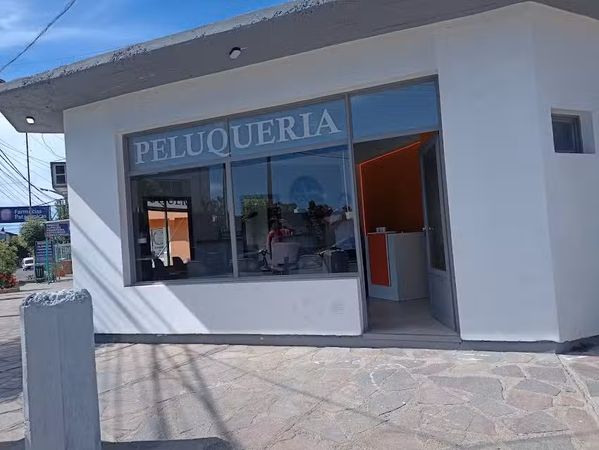 the viking&rsquo;s barber shop 2