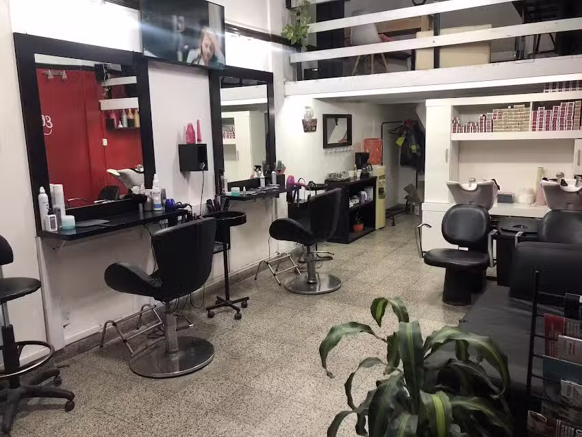 Todo Look sal&oacute;n Unisex