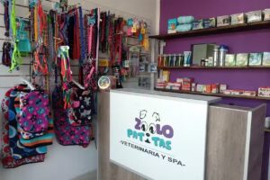 Veterinaria- Spa Zoolo Patitas