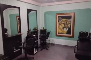 Vladimir Tu Salon De Belleza